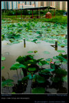 DSC_0028_060604