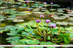 DSC_0014 copy