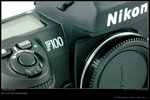 DSC_4624 copy