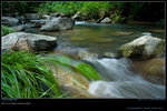 DSC_0159_060730_sanleungtam