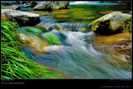 DSC_0162_060730_sanleungtam