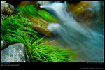 DSC_0173_060730_sanleungtam