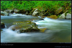 DSC_0194_060730_sanleungtam