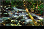 DSC_0207_060730_sanleungtam