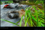 DSC_0265_060730_sanleungtam