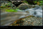 DSC_0273_060730_sanleungtam