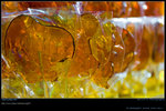 JF_D2_DSC_0005