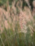 DSCN1424