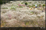 KEL_6263 copy