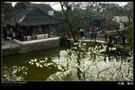 KEL_6245 copy