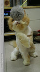 Mike (20)