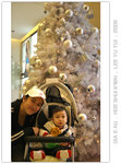 BB 269 Day 13