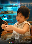 KJL_6445