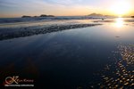 DSC05356