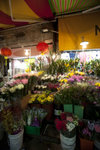 IMG_0302 copy