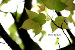 IMG_0584 copy