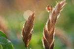 IMG_0119 copy