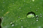 IMG_0023 copy
