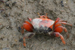 IMG_1133 copy