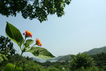 IMG_0388 copy