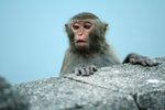 IMG_0088 copy