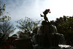 IMG_0107