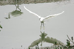 IMG_2348 copy