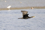 IMG_1765 copy