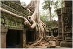 
Bayon �ڦ��q