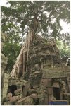 

Bayon �ڦ��q
