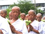 Novice monks offer three lotus blooms