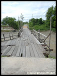 SANY0126