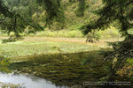_DSC0304