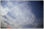 t3_roll0003_92280002