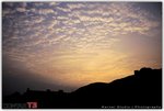 t3_roll0003_92280016