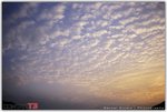 t3_roll0003_92280017