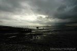 DSC_7166_resize