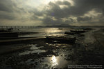 DSC_7200_resize