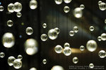 DSC_2143_resize