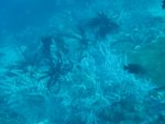 the world underwater*