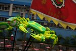 DSC09603