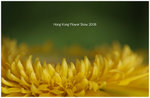 DSCF4451