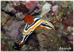 P9300151