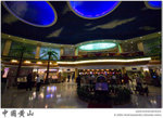 IMG_5051 copy