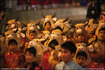 IMG_1774 copy