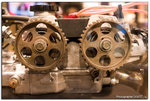 IMG_7161 copy