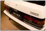 IMG_7330 copy