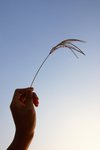 Image14