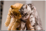 IMG_6898 copy