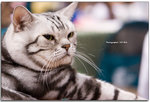 IMG_7119 copy